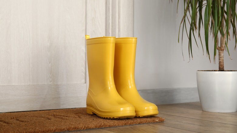 Photo showing clean rain boots on doorway rug