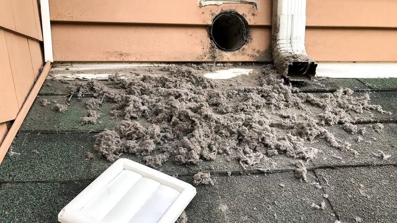 Filthy dryer vent with lint