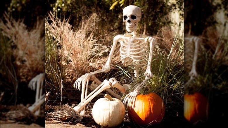 skeleton sitting next to pumpkins