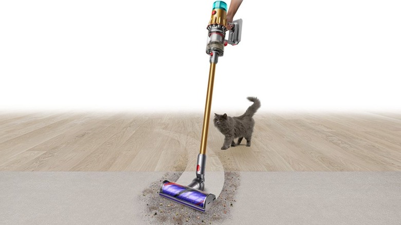 cordless vacuum cleaning dirty rug