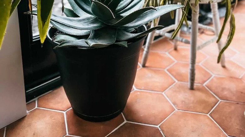 hexagon terracotta tile floor