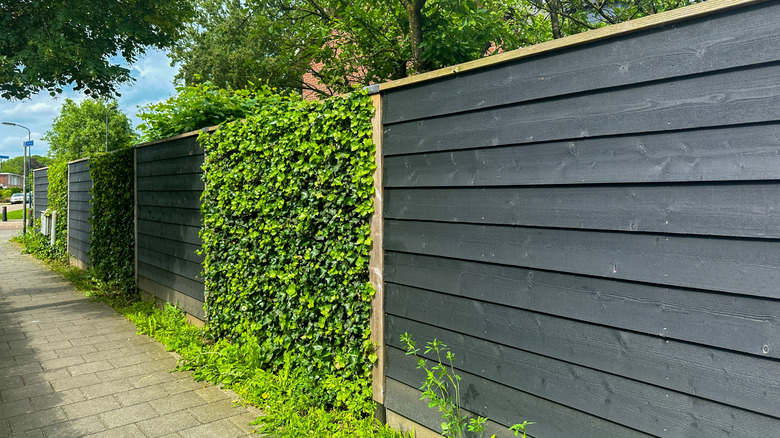 Black modern fence with greenery