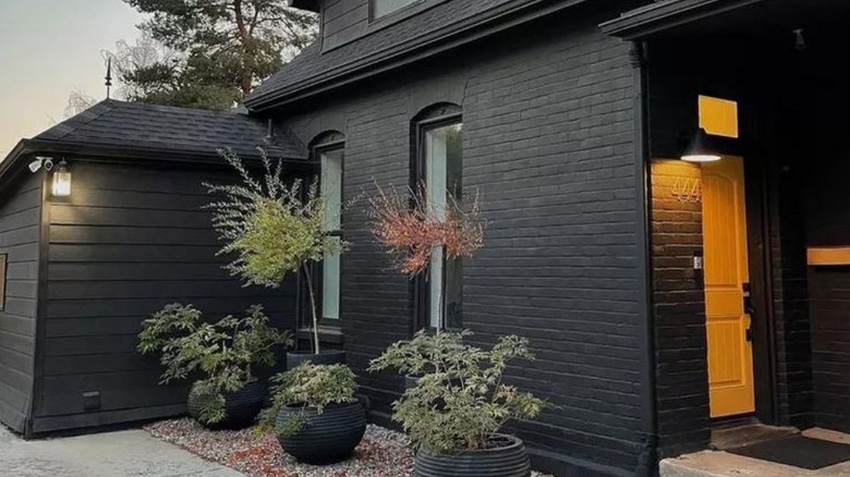 Wood door on black brick home