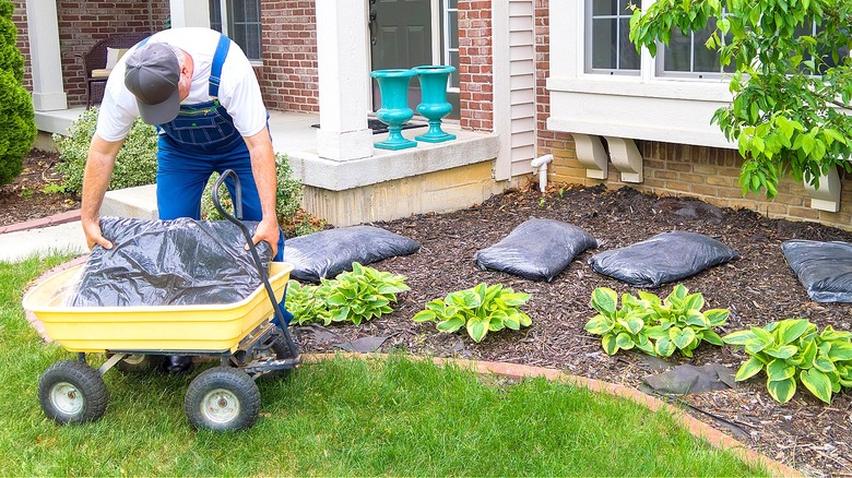 The 5 Best Garden Carts That Make Working Outside Easier Than Ever