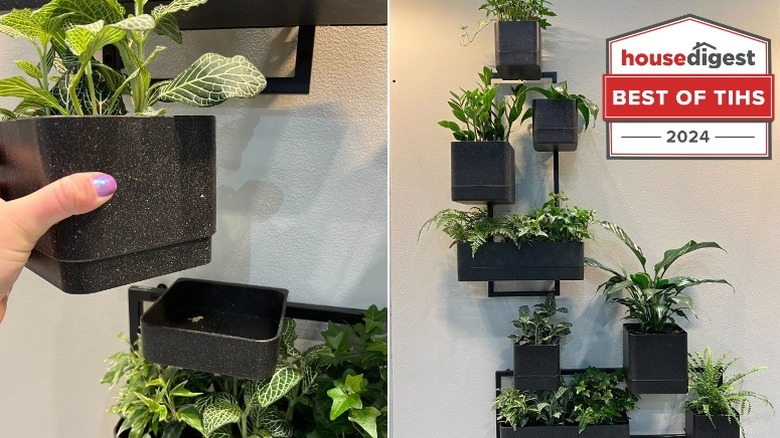 cubiko wall planter