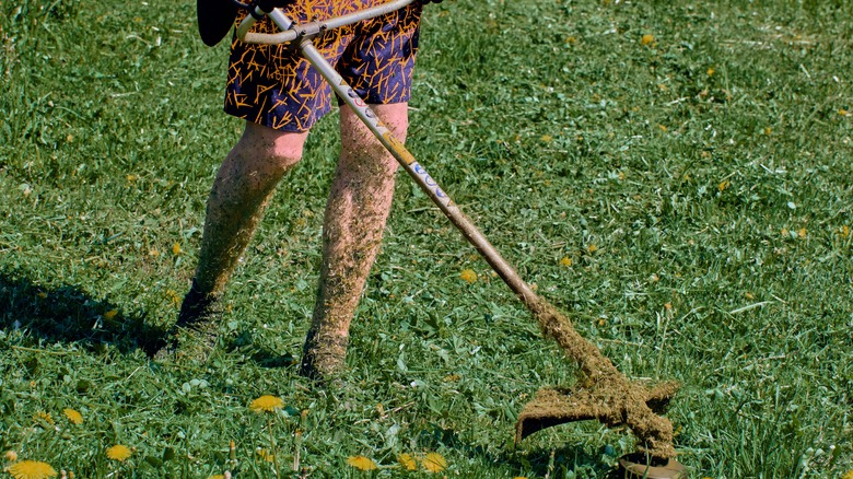 person using weed eater