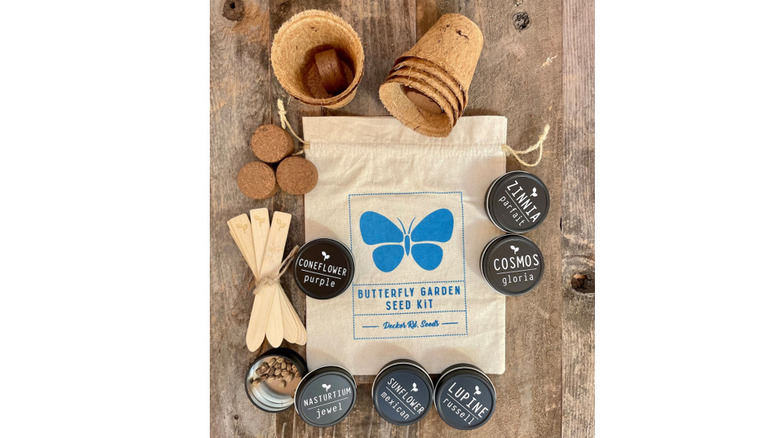 Butterfly seedling supplies on table