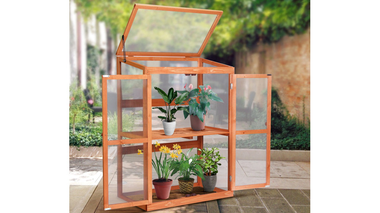 Greenhouse cabinet with plants