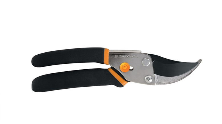 Pruning shears on white background