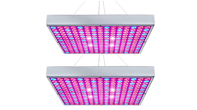 Two LED grow light lamps