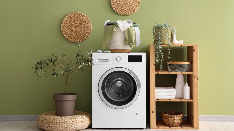 A green wall in a sparse, organic laundry room