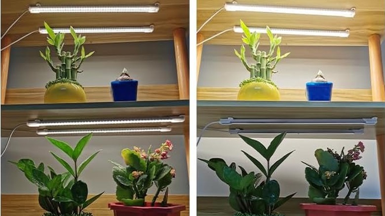 Rwantao grow lights