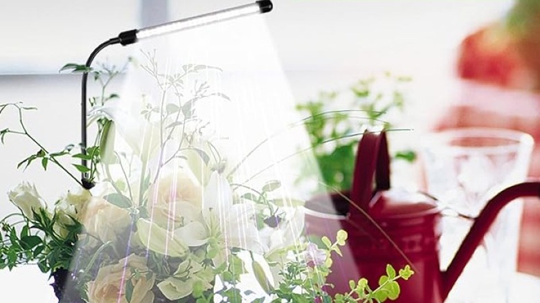 A Juhefa grow light over potted plants