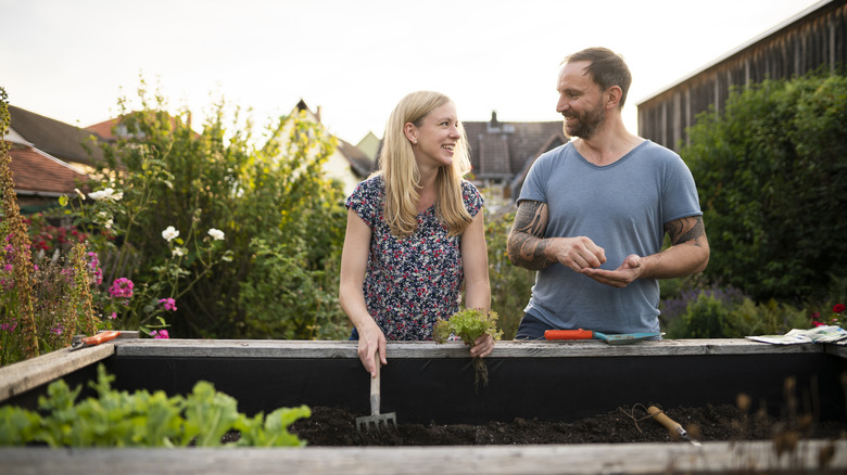 Couple planting in raised garden bed