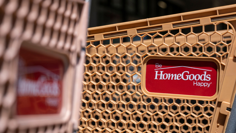 homegoods shopping cart in store