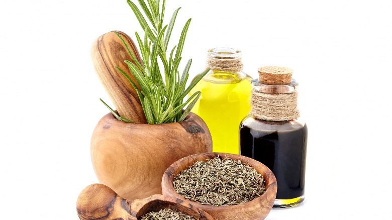 Rosemary plant with oils