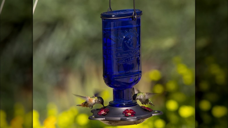 Cobalt blue glass bottle feeder