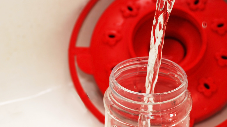 Filling hummingbird feeder with water