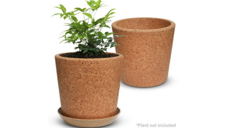 Eco pot from cork tree 