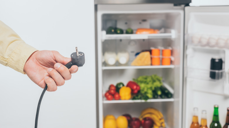 Person unplugging refrigerator 