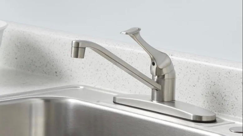 Glacier Bay's stainless steel faucet