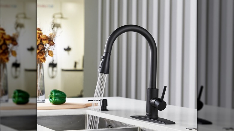 FORIOUS black faucet