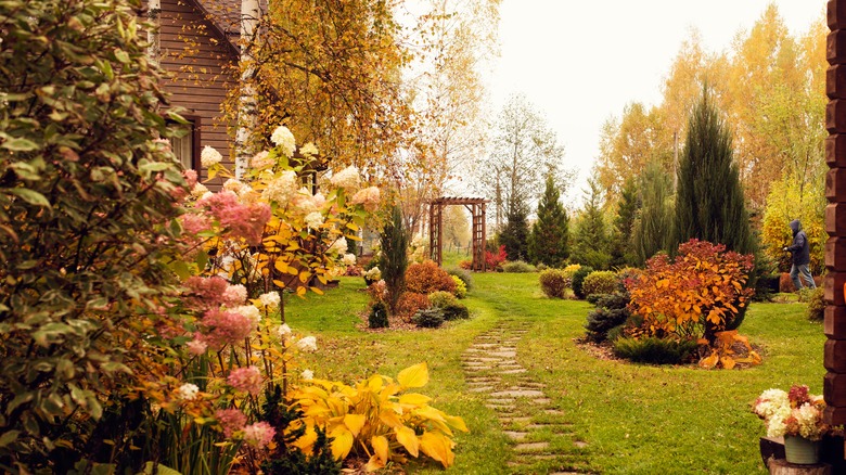 An autumnal landscape with different colored plants in bloom