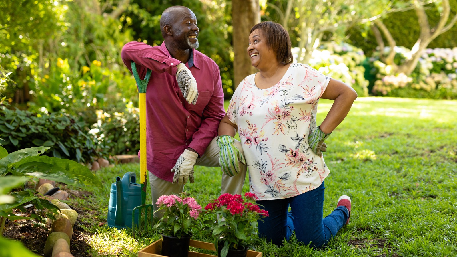 The Best Layout For Your Garden, According To An Expert - Exclusive