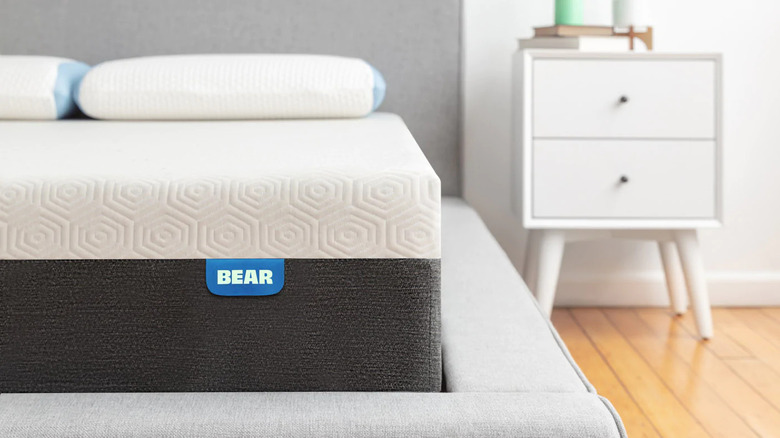 Bear mattress