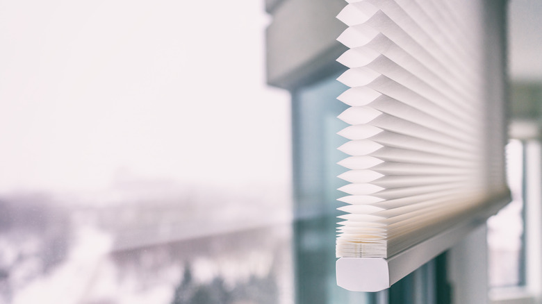 Fabric blinds against window glass