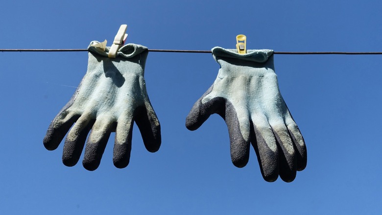 Gardening gloves air drying