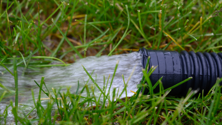 Water draining into grass