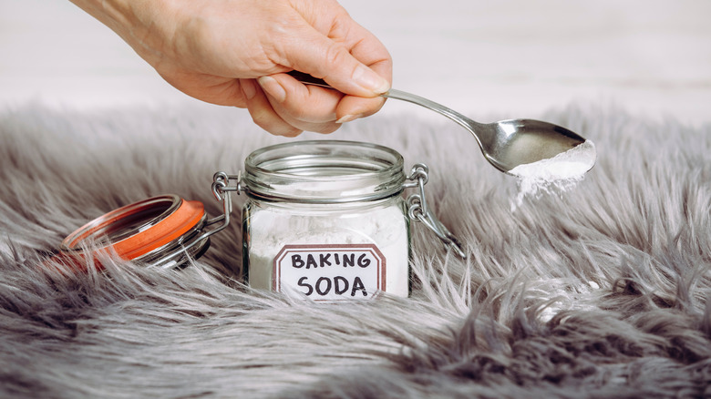 Sprinkling baking soda on carpet