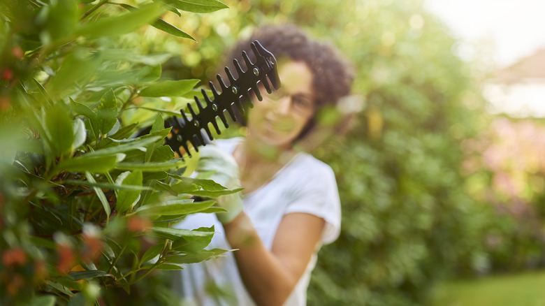 Woman using hedge trimmers