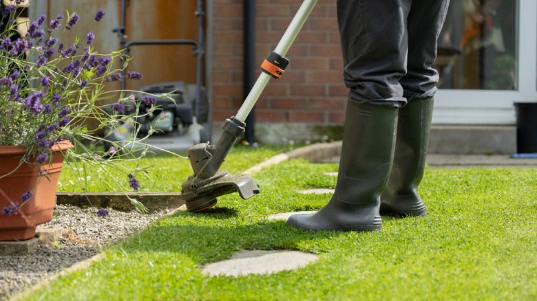 Person using a weed whacker to trim their lawn