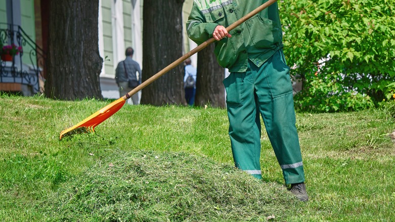 person rakes grass