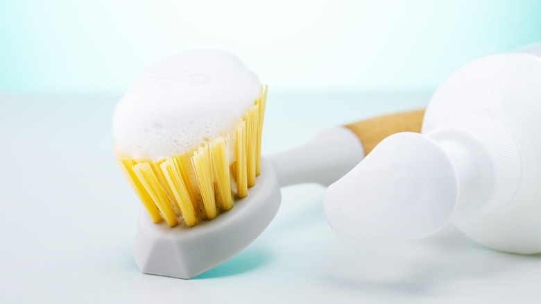 A brush and cleaning solution