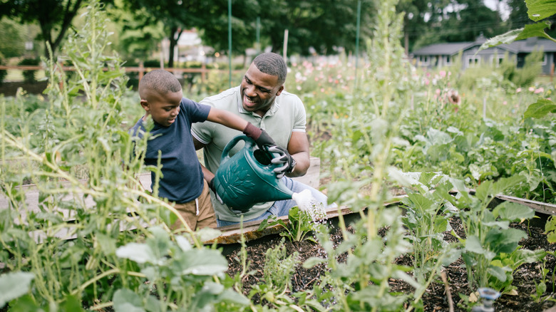 Father and son water garden