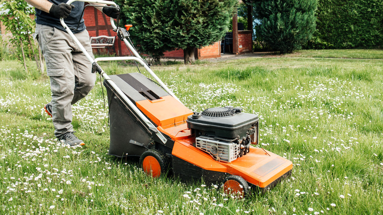 Person mowing lawn