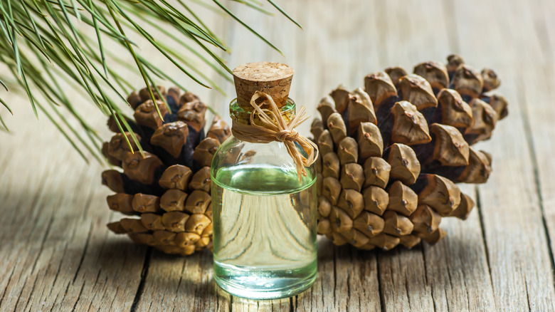 pine cone with essential oil