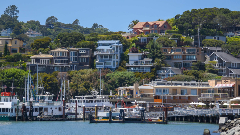 coastal hillside homes in Belvedere 