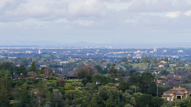 aerial view of Los Altos neighborhood