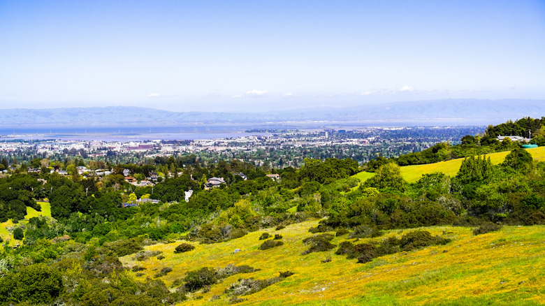 hillside view of Menlo Park