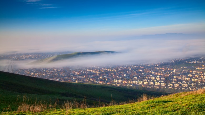 view of San Ramon with fog