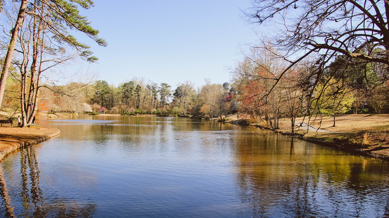 avondale estates pond