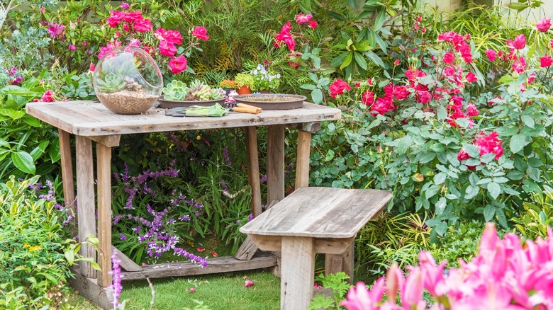 wood plant table in garden