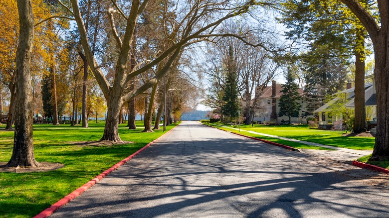 Beautiful residential street