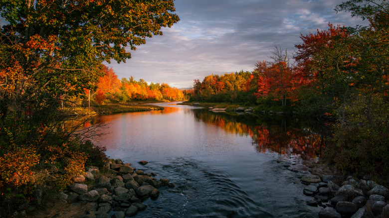 Acadia Park at sunset