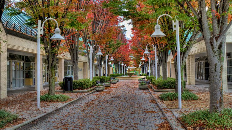 Street in Columbia, Maryland