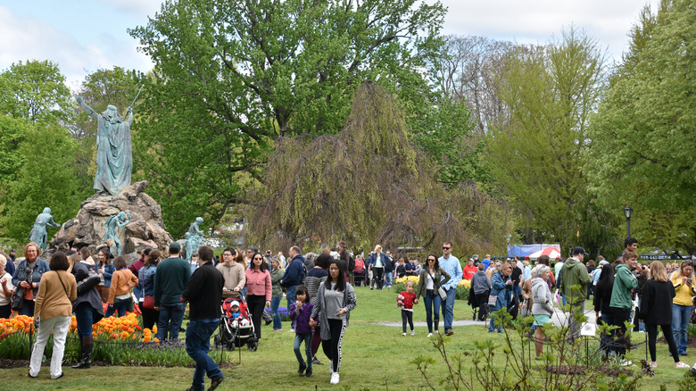 Albany residents at Tulip Festival